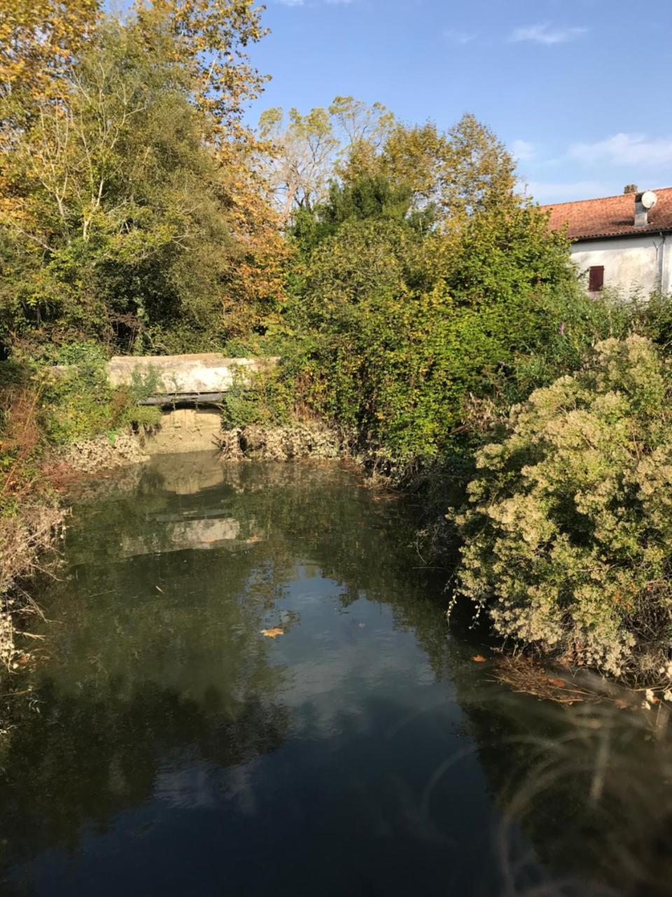 Hotel Camping Le Ruisseau à Saint-André-de-Seignaux Extérieur photo